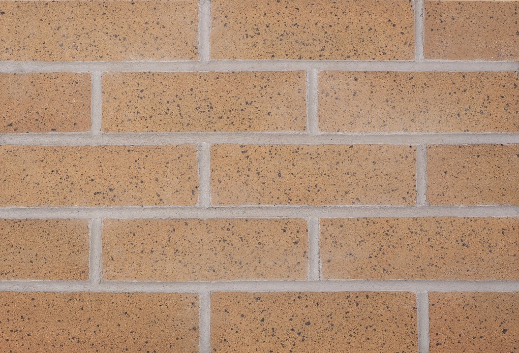 Maybank Imperial Yellow brick slip panel pointed with a grey pointing mortar